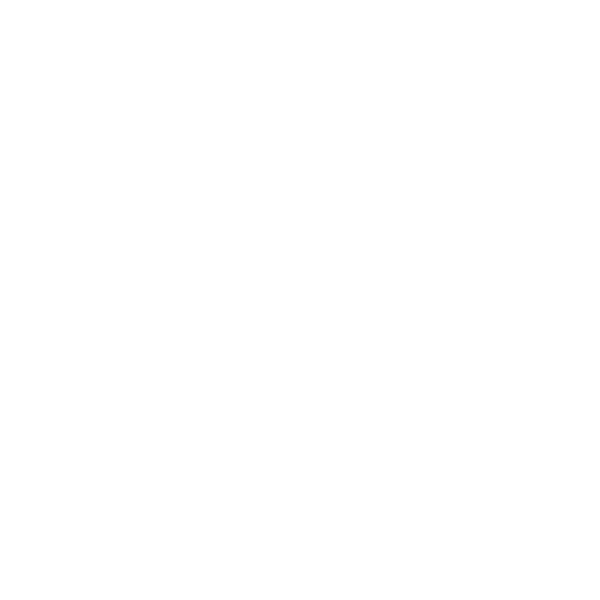 flexurity