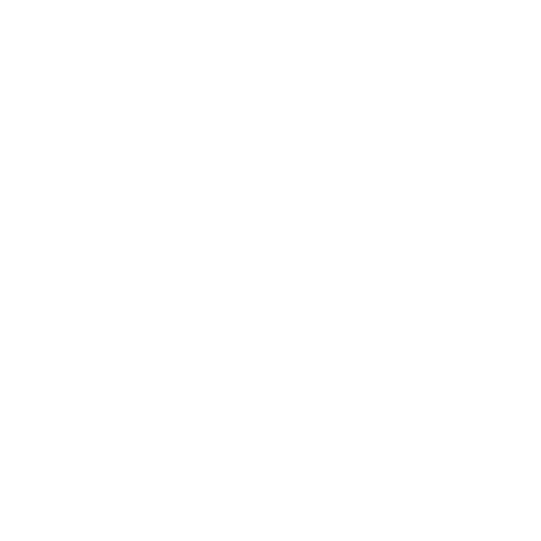 intervisie